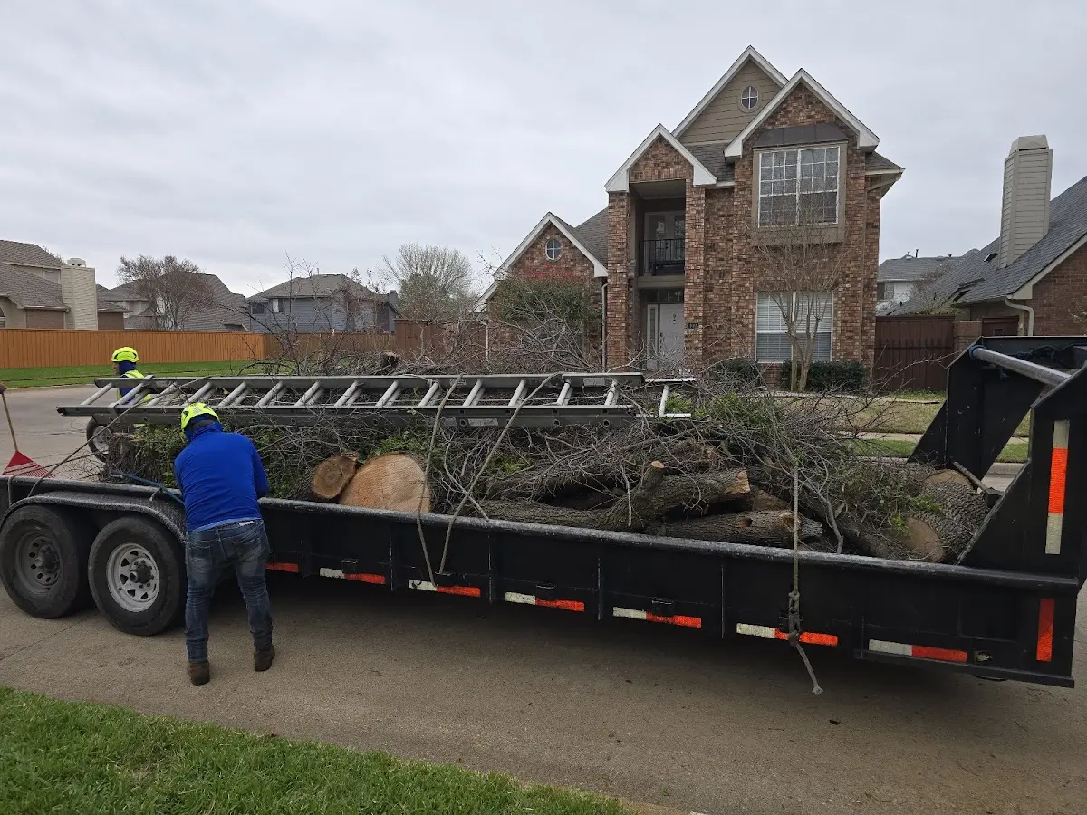 Expert Crown Reduction with proper safety equipment in Beaver Springs